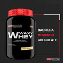 Kit Waxy Whey Protein 900g + ZMA Drol 120 Cápsulas + Creatine 100g + Coqueteleira – Bodybuilders